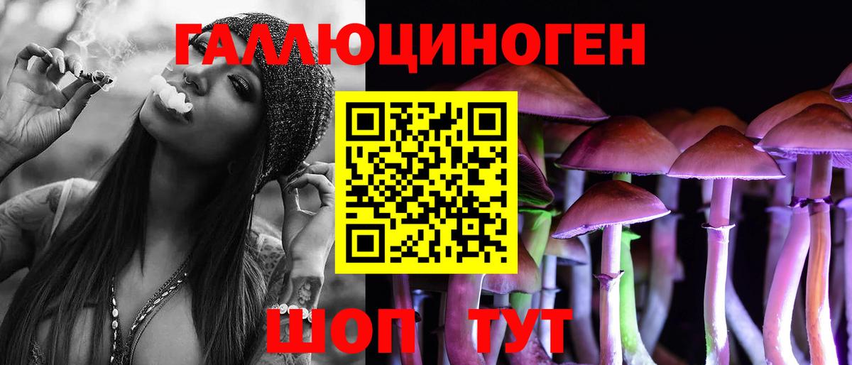 Галлюциногенные грибы мухоморы Советская Гавань